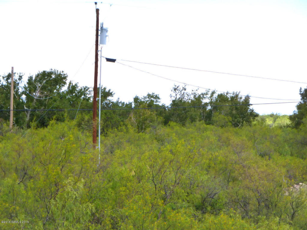 00 S Hatari Lane, Portal, AZ 85632