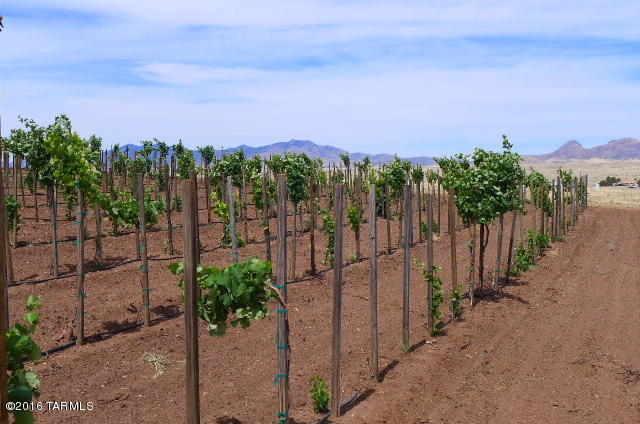 20 La Montana, Sonoita, AZ 85637