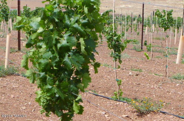 20 La Montana, Sonoita, AZ 85637