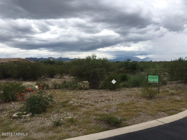8990 E Fernbush, Vail, AZ 85641