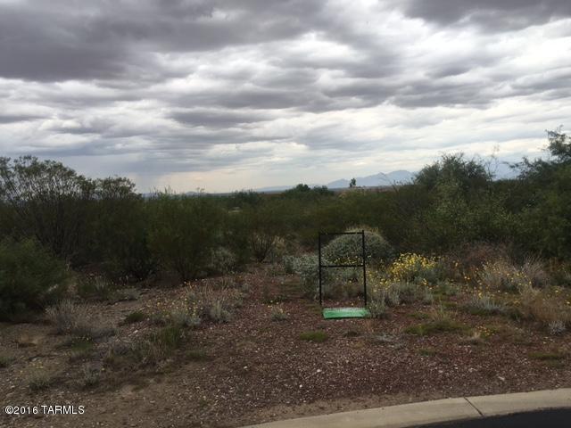 8985 E Fernbush, Vail, AZ 85641