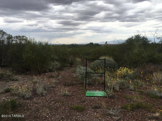 16974 S Rustling Leaf, Vail, AZ 85641