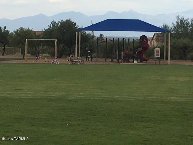 16974 S Rustling Leaf, Vail, AZ 85641