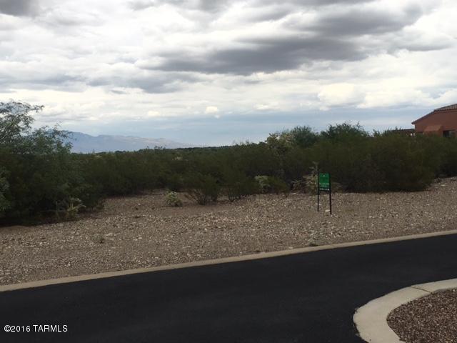 17023 S Rustling Leaf, Vail, AZ 85641