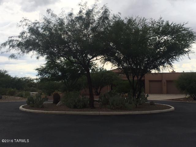 17023 S Rustling Leaf, Vail, AZ 85641