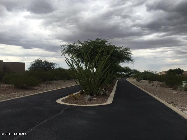17023 S Rustling Leaf, Vail, AZ 85641