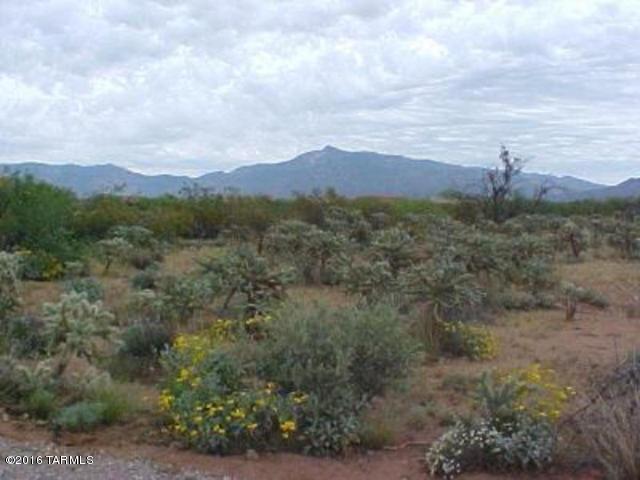 13637 E Garigans Gulch, Vail, AZ 85641