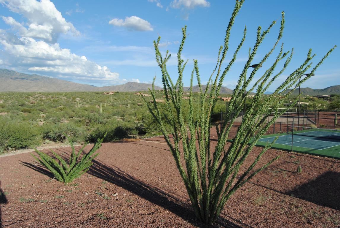 8356 S Tumbling R Ranch, Vail, AZ 85641