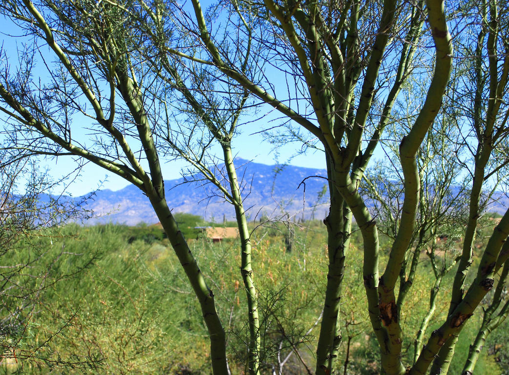 8033 S Triangle F Ranch, Vail, AZ 85641