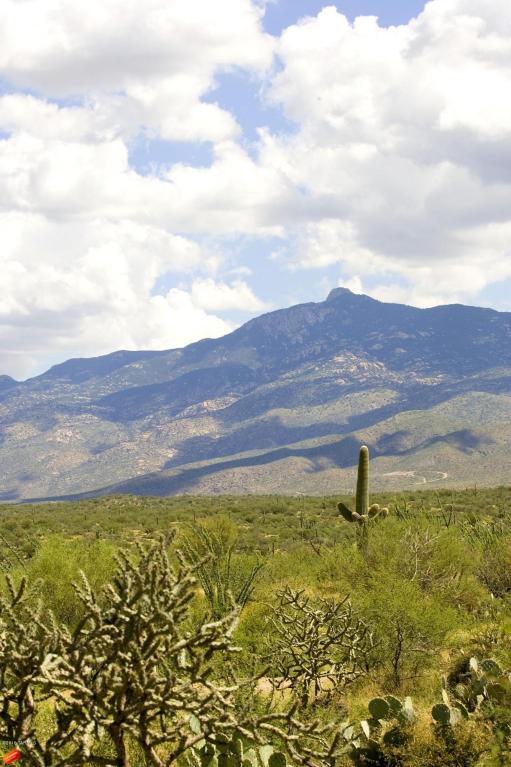 15045 E TRIANGLE Z RANCH, Vail, AZ 85641