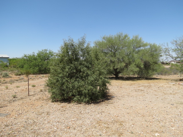 12620 S Morning Dew TrlVail, AZ, 85641Pima County