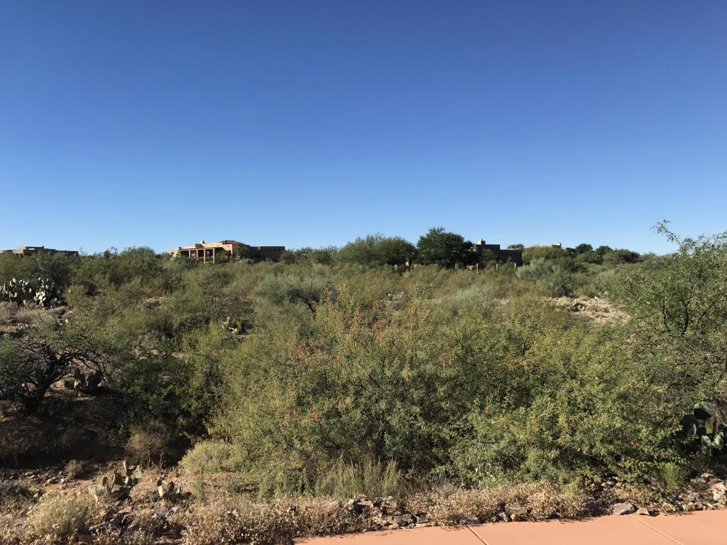 14570 E Circle L Ranch, Vail, AZ 85641
