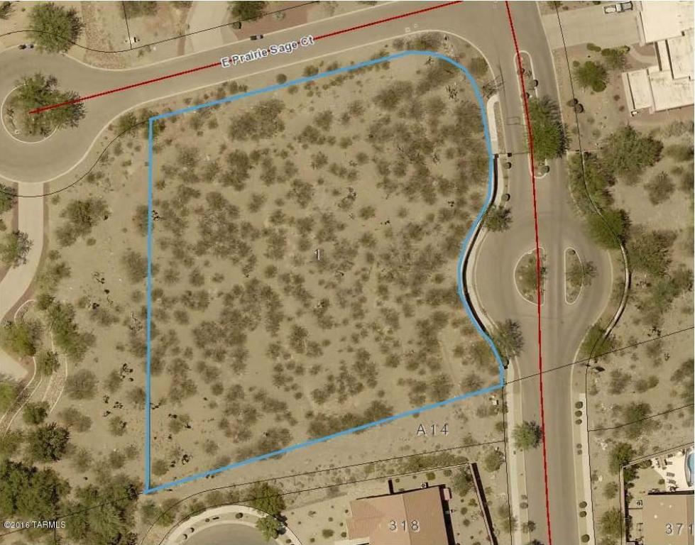 9024 E Prairie Sage, Vail, AZ 85641