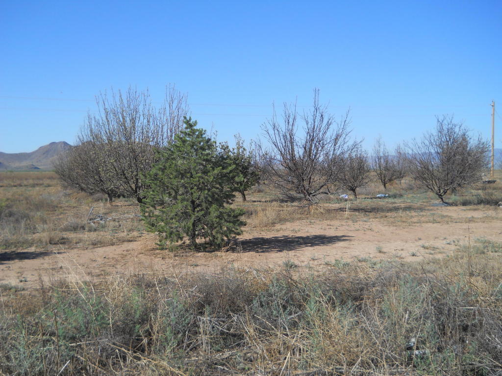 9670 S Someday Way, Willcox, AZ 85643
