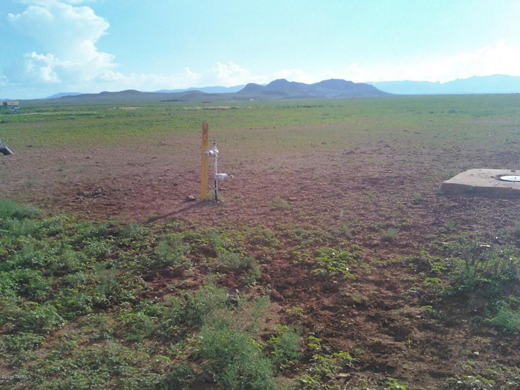 10149 S Bell Ranch, Willcox, AZ 85643