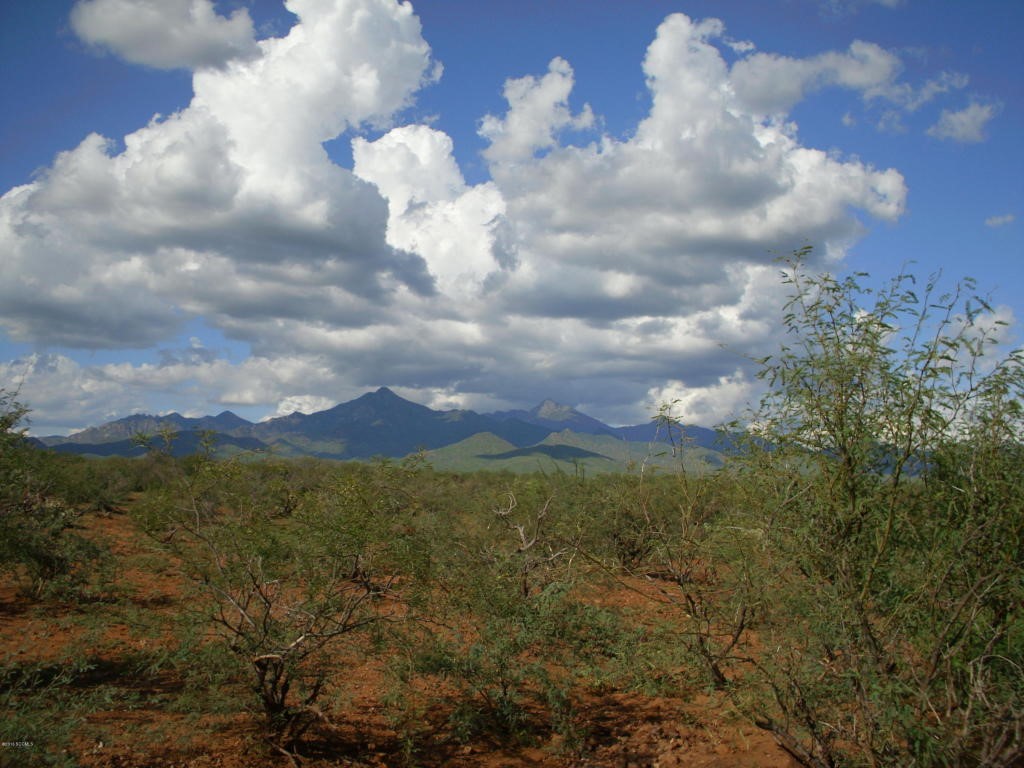 339 Camino Kennedy, Tubac, AZ 85646
