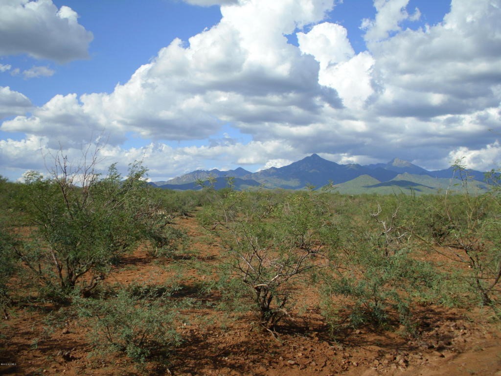 339 Camino Kennedy, Tubac, AZ 85646
