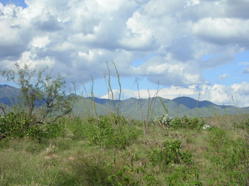 Tbd Talavera, Tubac, AZ 85646