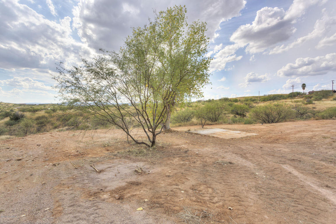 1133 Calle Carmelita, Rio Rico, AZ 85648