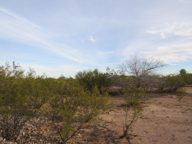 16121 W Spur Bell LnMarana, AZ, 85653Pima County