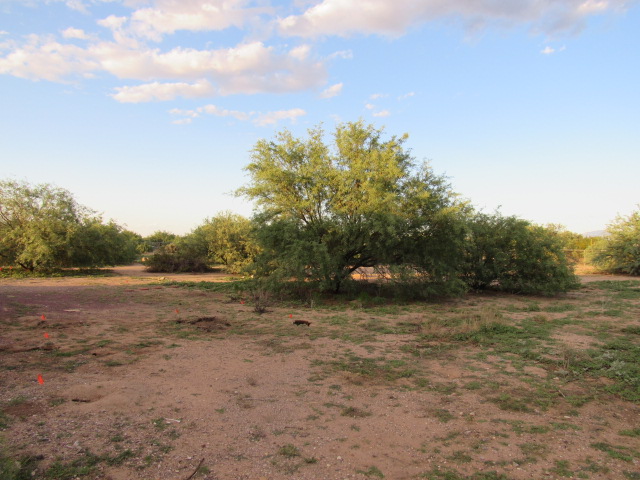 5142 N Sabi RdMarana, AZ, 85653Pima County