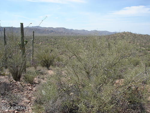 000 S Ladybug, Marana, AZ 85658