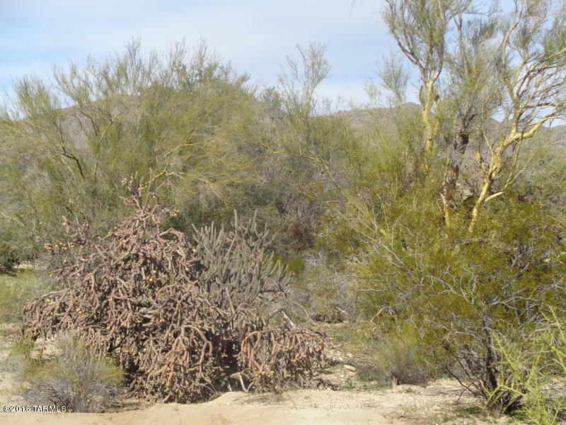 none no name, Marana, AZ 85658