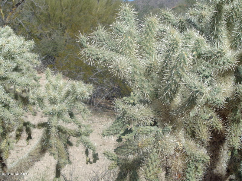 none no name, Marana, AZ 85658