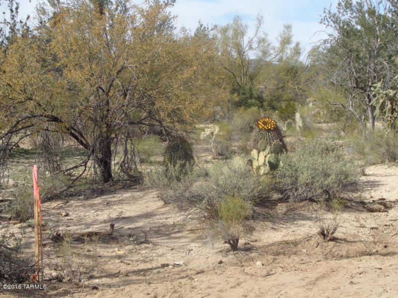 none no name, Marana, AZ 85658
