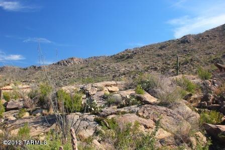 15000 N Gallery Vista N, Marana, AZ 85658