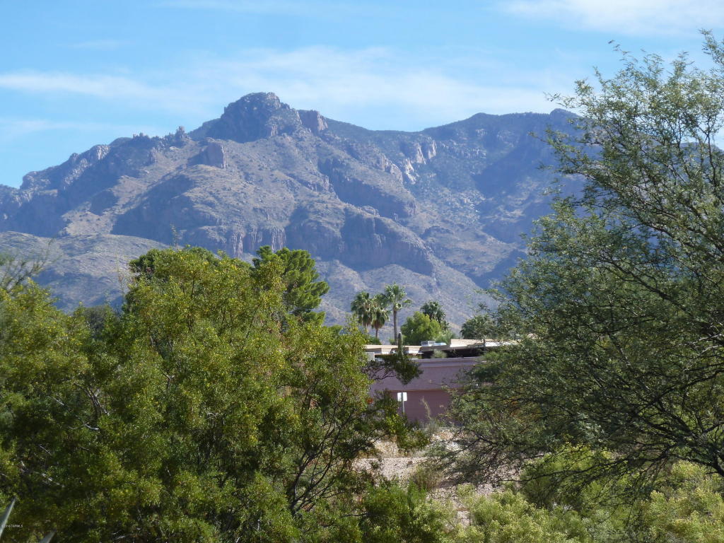 751 W Panorama, Tucson, AZ 85704