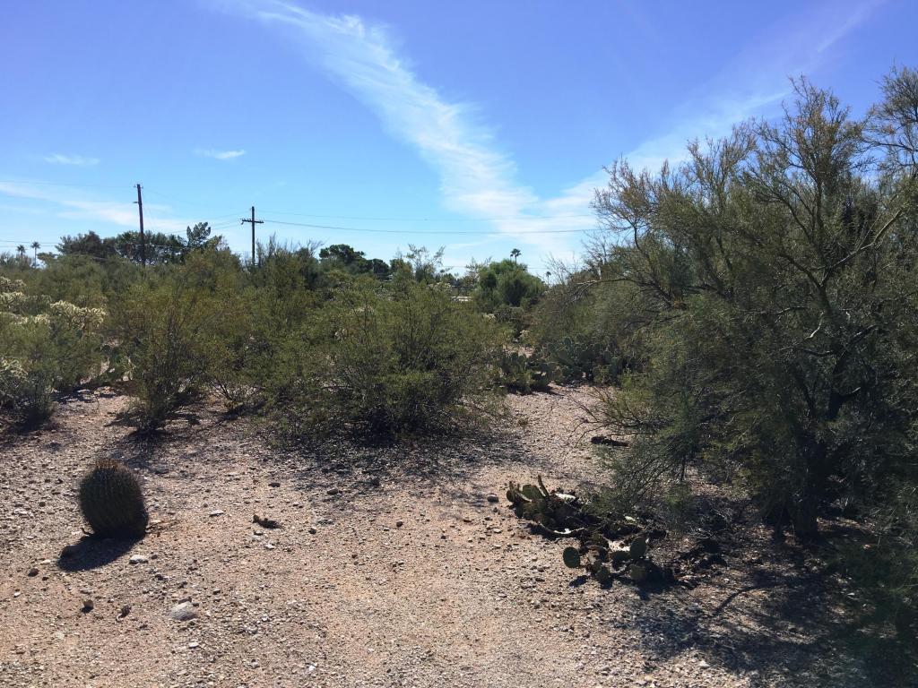 6618 N Casas Adobes, Tucson, AZ 85704