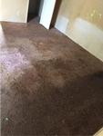 4652 N POMONA AVE ,AZ, Tucson, 85705