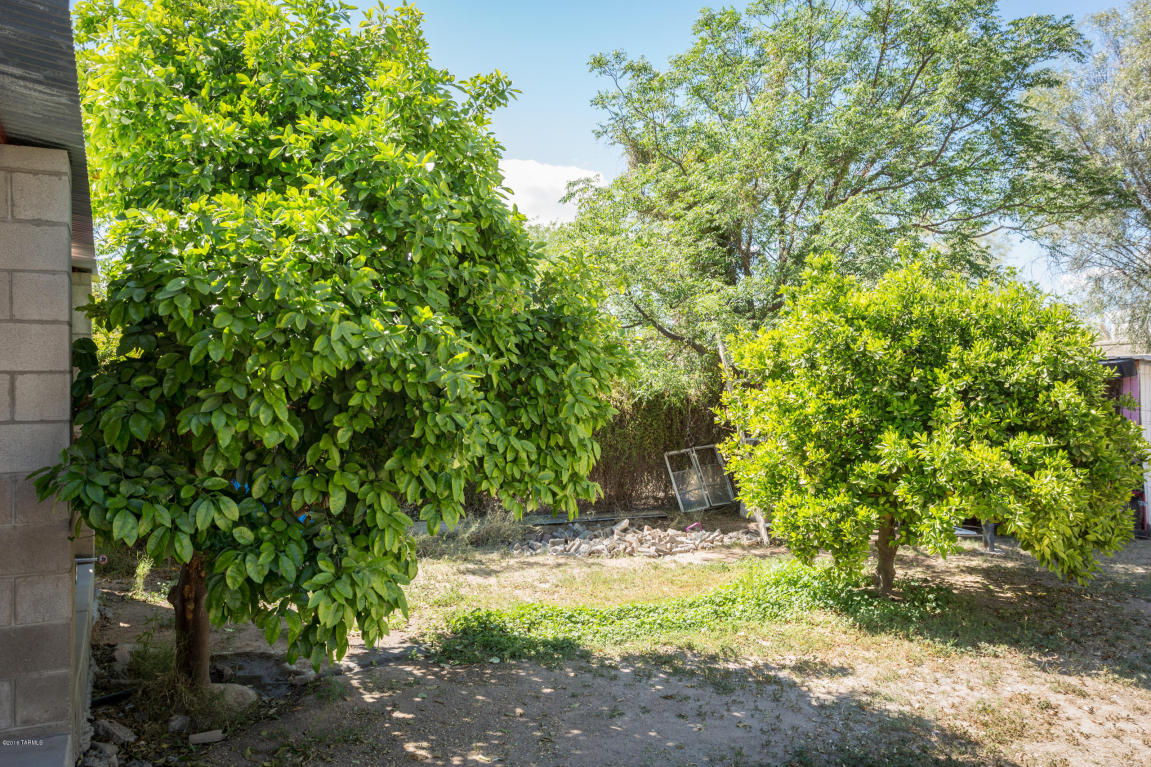 Tucson, AZ 85705
