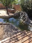 4982 N CASAS SERENAS ,AZ, Tucson, 85705