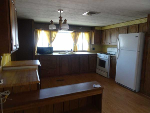 Carousel Ranch 4315 N. Flowing Wells #56Tucson, AZ 85705
