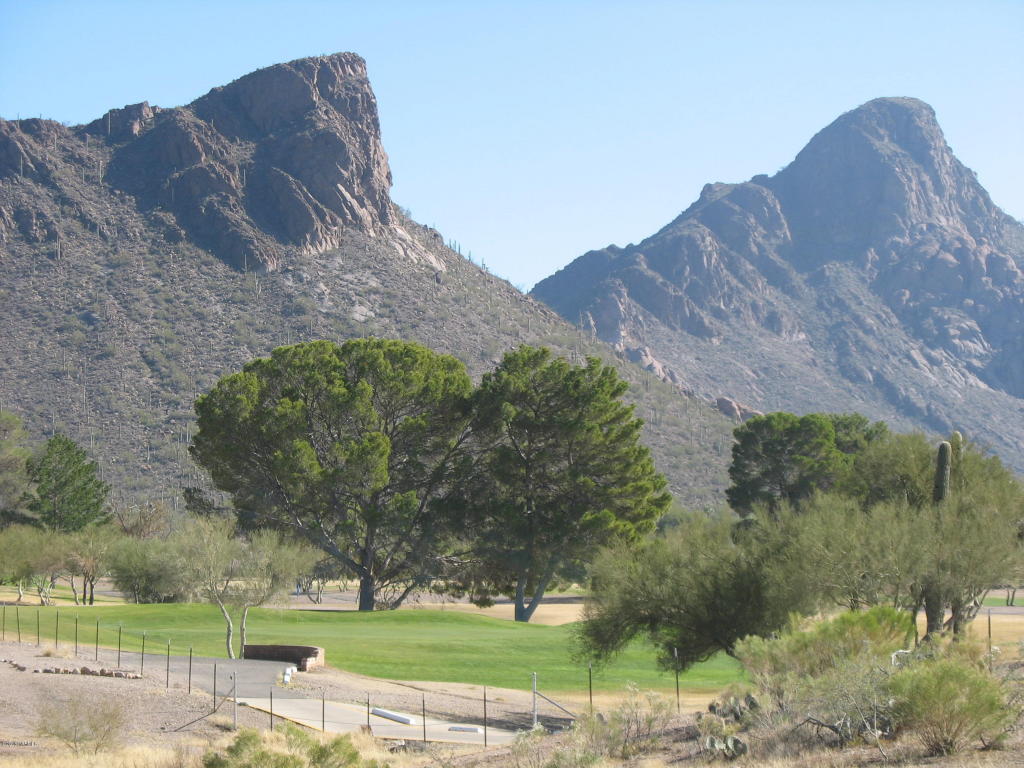 2441 S Triangle X, Tucson, AZ 85713