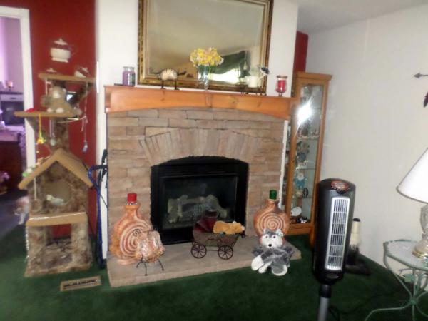 Desert Pueblo Mobile Home Park1302 W Ajo Way # 278Tucson, AZ 85713