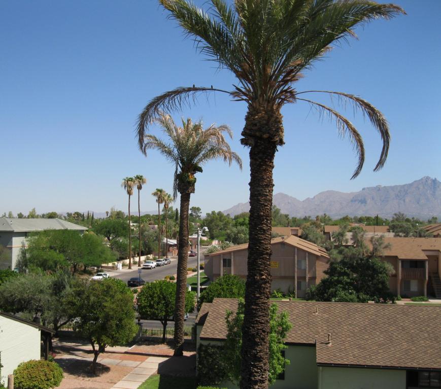 2820 E 6th, Tucson, AZ 85716