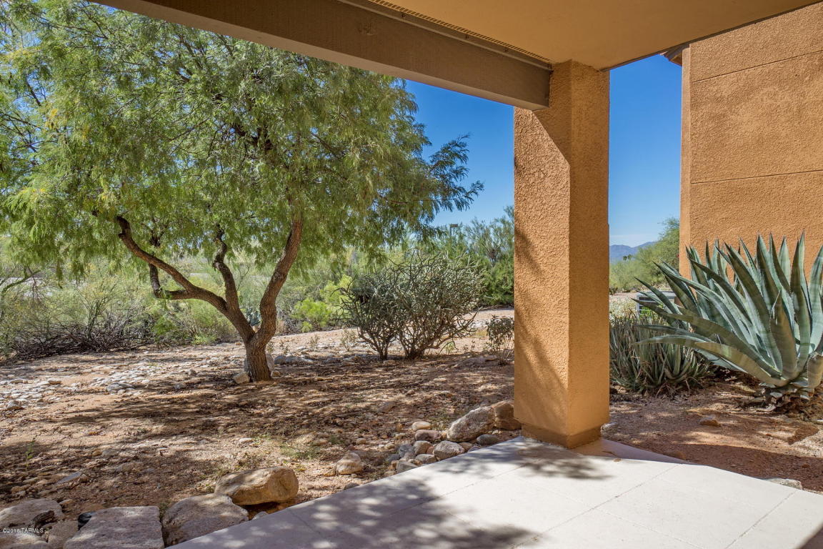 6651 N Campbell, Tucson, AZ 85718