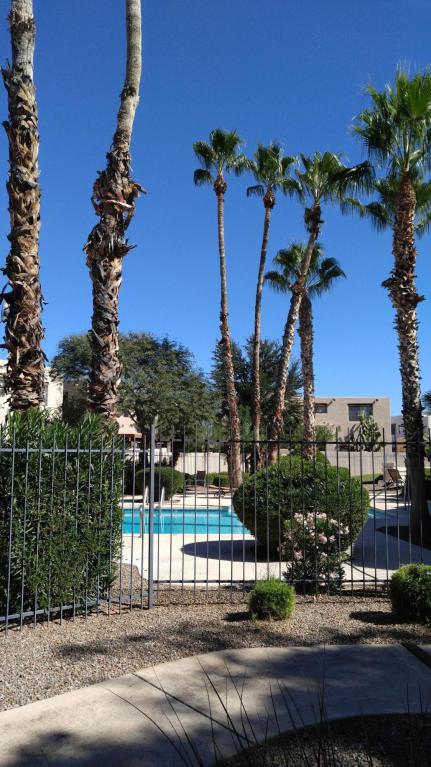 4275 N River Grove, Tucson, AZ 85719
