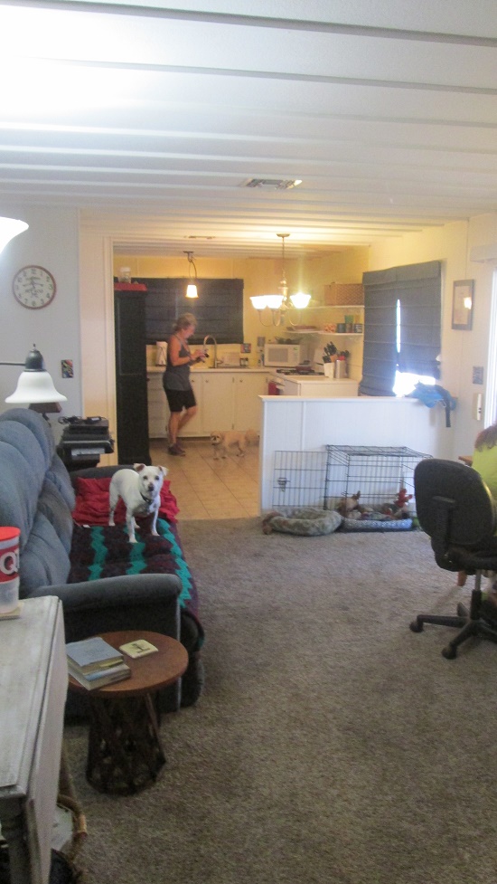 2323 E. Lee ,AZ, Tucson, 85719
