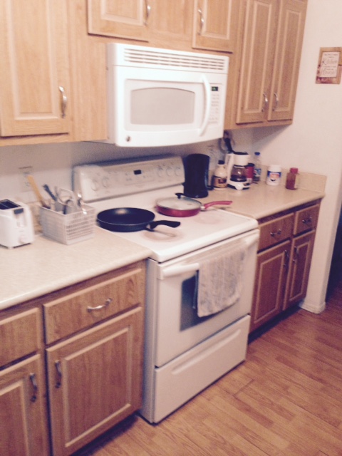 Vista Del Norte Mobile Estates 1111 East Limberlost #169Tucson, AZ 85719