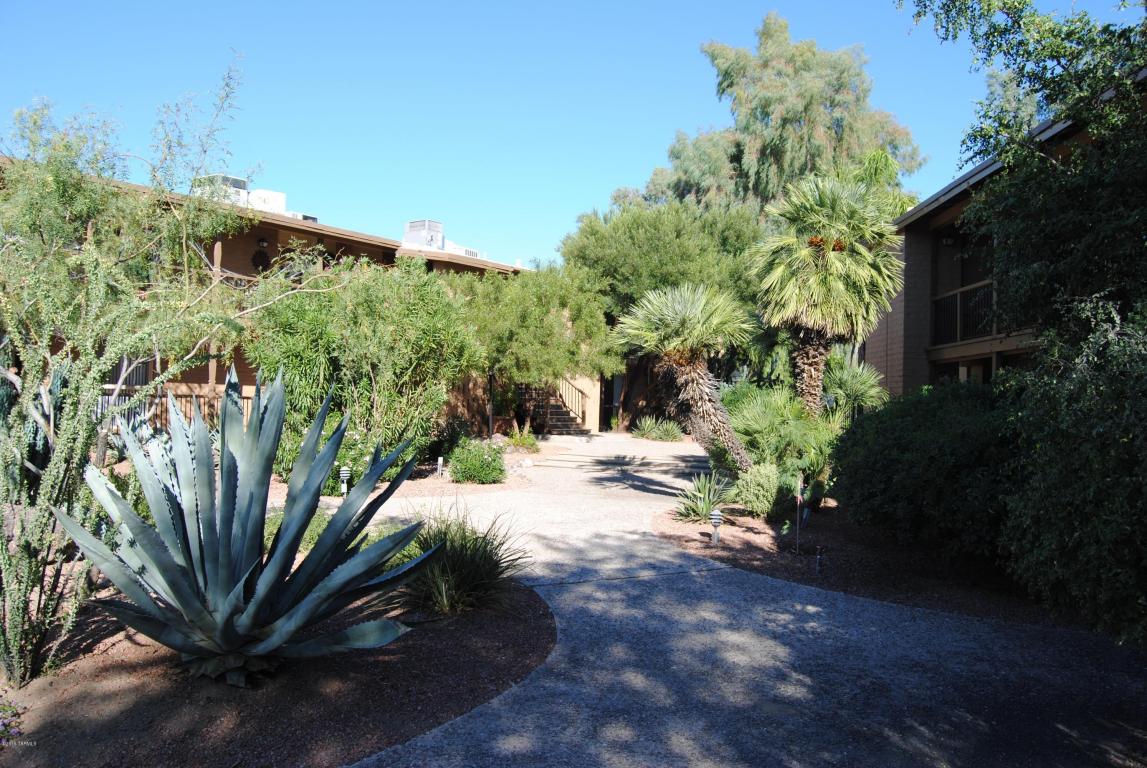 2 W Greenock, Oro Valley, AZ 85737