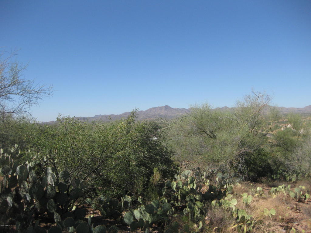 N Twin Lakes E, Tucson, AZ 85739