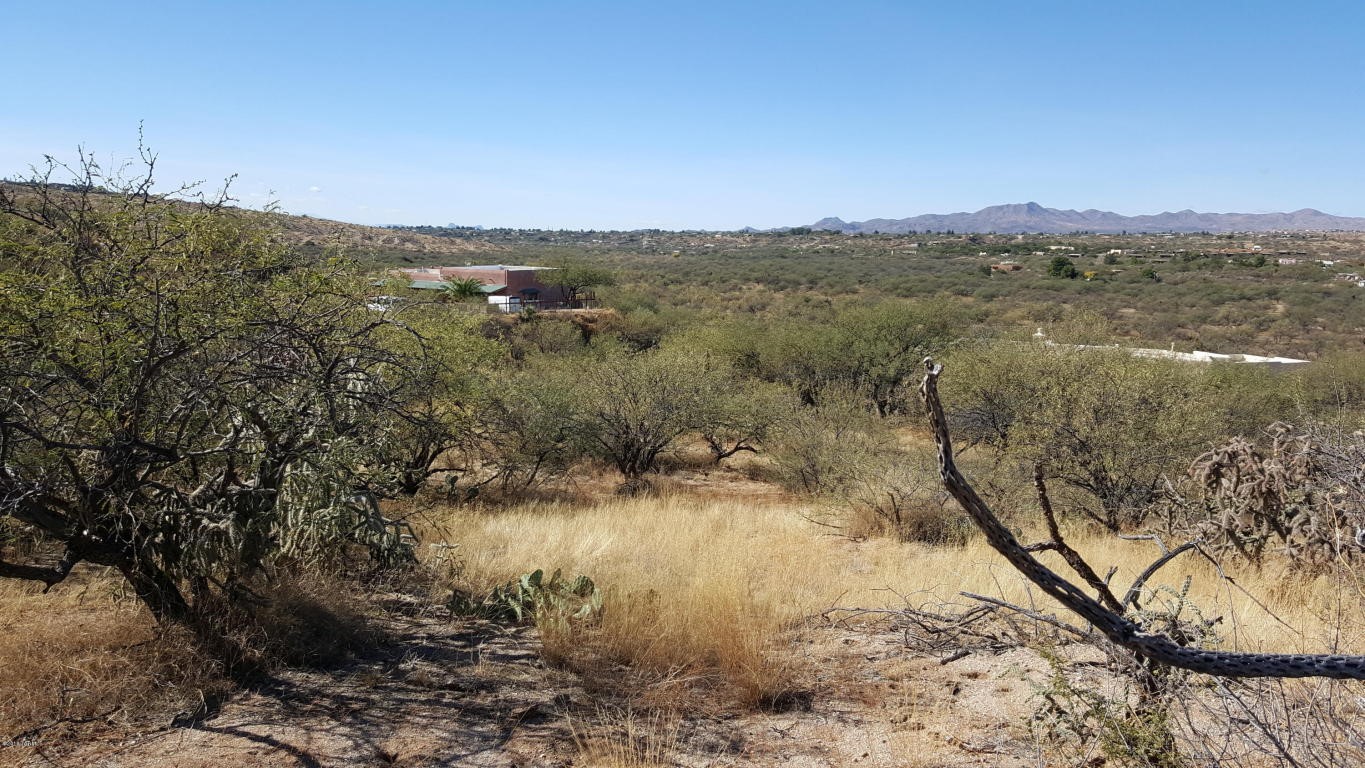 Ridge Rock Trail, Tucson, AZ 85739