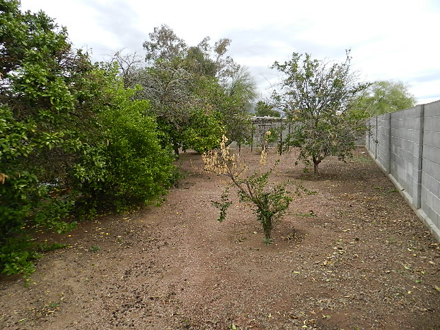 3715 W Raintree DrTucson, AZ, 85741Pima County