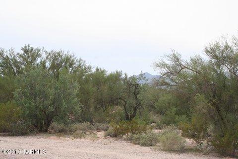 10355 N La Cholla, Oro Valley, AZ 85742