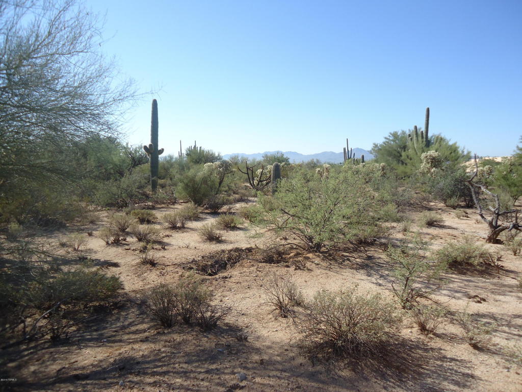 11151 N Camino De Oeste, Tucson, AZ 85742