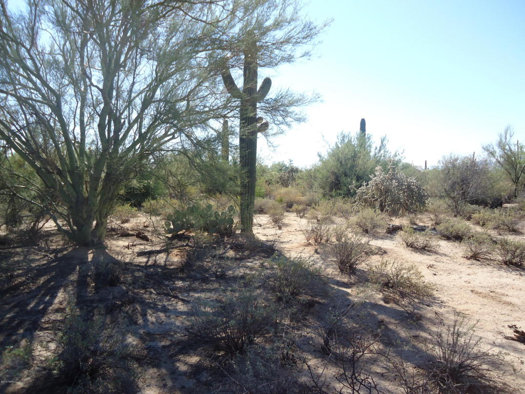 11151 N Camino De Oeste, Tucson, AZ 85742